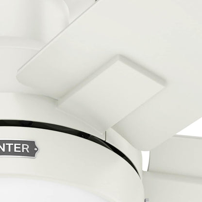 Ventilateur de plafond Hunter 52 Anisten à profil bas avec éclairage LED et cordon d'actionnement - Style moderne, contemporain, transitionnel