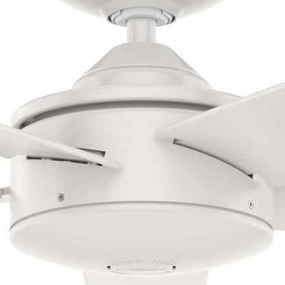 Ventilateur de plafond Hunter 52 Shorebreak WeatherMax pour intérieur/extérieur avec commande murale - Résistant aux intempéries extrêmes, au sel et à la corrosion