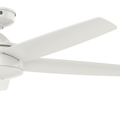 Ventilateur de plafond Hunter 52 Shorebreak WeatherMax pour intérieur/extérieur avec commande murale - Résistant aux intempéries extrêmes, au sel et à la corrosion