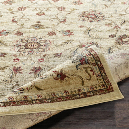 Livabliss Riley Updated Traditional Oriental Area Rug