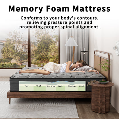 Modland Matelas hybride à ressorts ensachés de 35,5 cm (14 pouces) à sommier européen, densité moyenne, livré dans une boîte