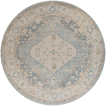 Nourison Abby Machine Washable Indoor only Persian Distressed Area Rug