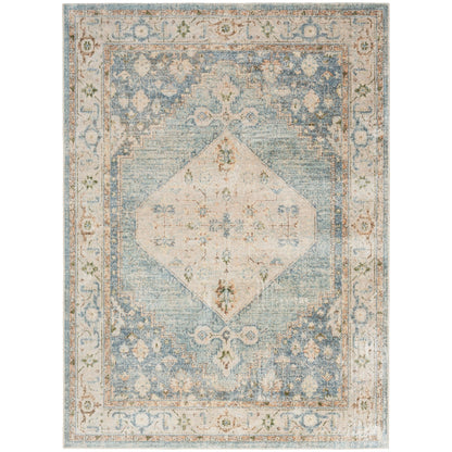 Nourison Abby Machine Washable Indoor only Persian Distressed Area Rug