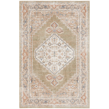 Nourison Abby Machine Washable Indoor only Persian Distressed Area Rug