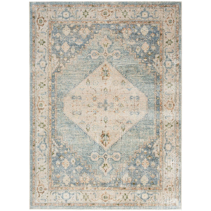 Nourison Abby Machine Washable Indoor only Persian Distressed Area Rug