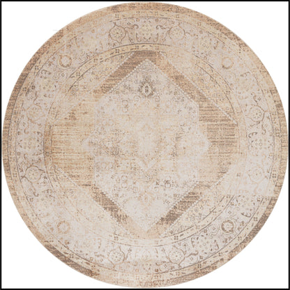 Nourison Abby Machine Washable Indoor only Persian Distressed Area Rug