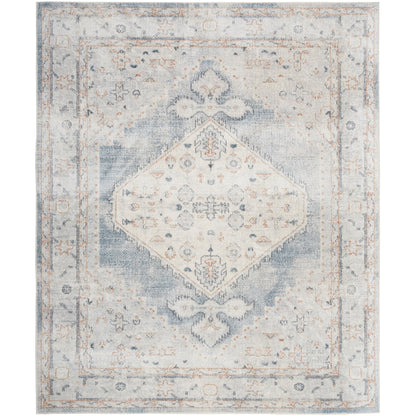 Nourison Abby Machine Washable Indoor only Persian Distressed Area Rug