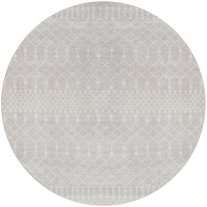 Nourison Astra Machine Washable Moroccan Area Rug