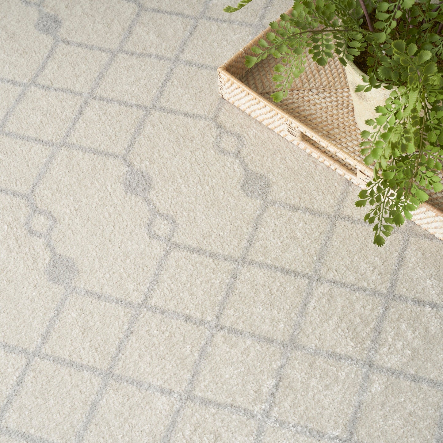 Nourison Astra Machine Washable Moroccan Area Rug