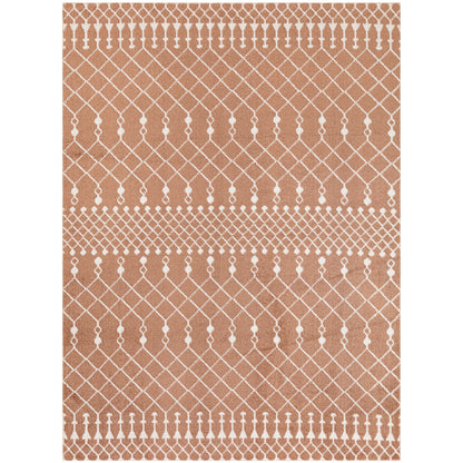 Nourison Astra Machine Washable Moroccan Area Rug