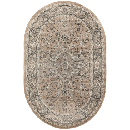 Nourison Concerto Classic Persian Medallion Area Rug.