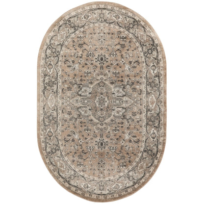 Nourison Concerto Classic Persian Medallion Area Rug.