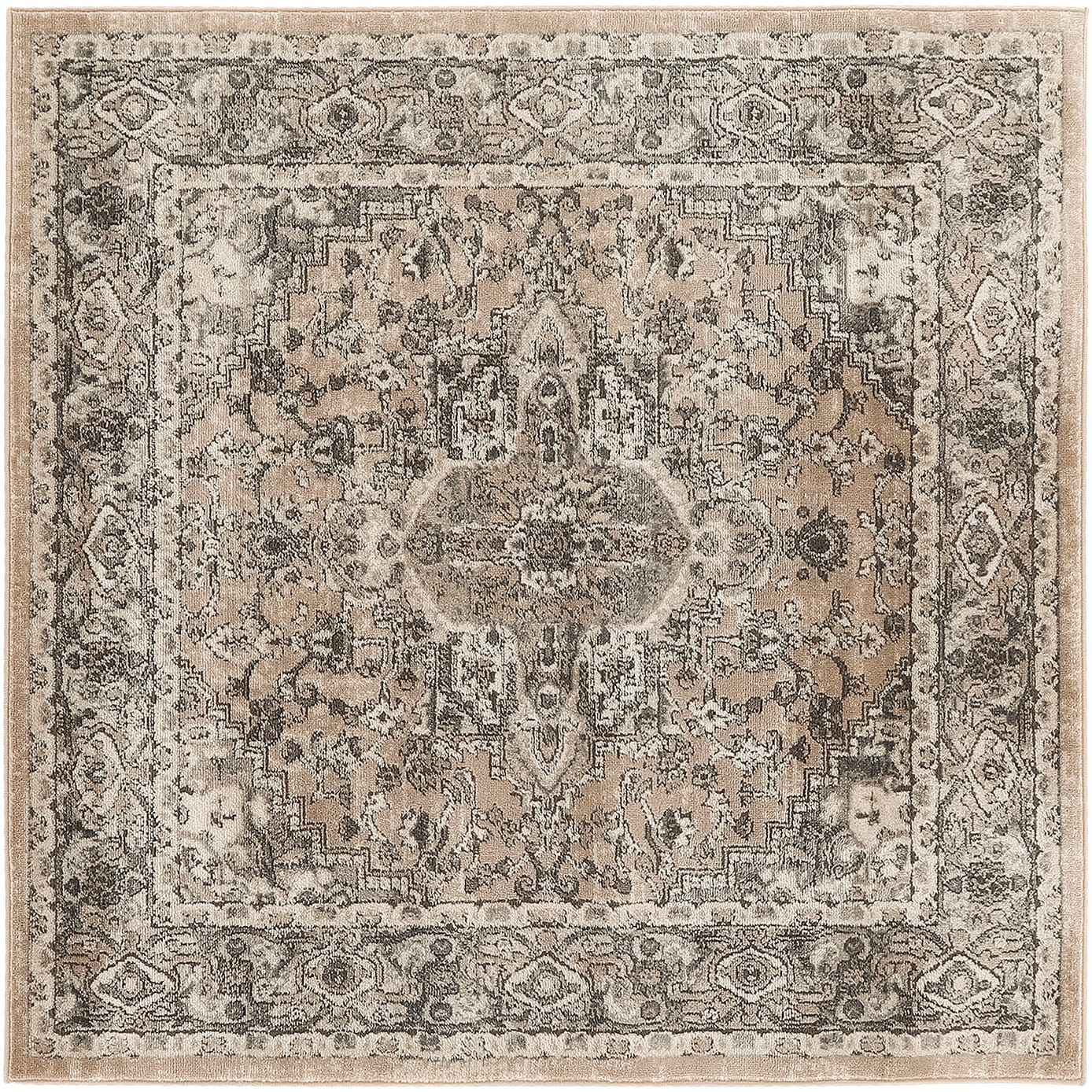 Nourison Concerto Classic Persian Medallion Area Rug.