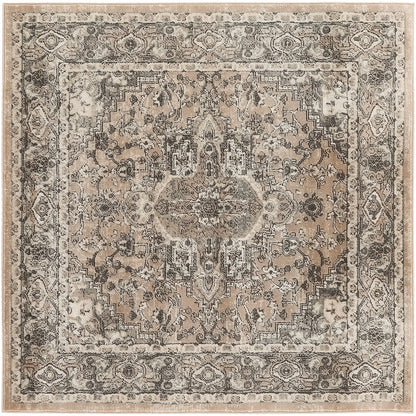 Nourison Concerto Classic Persian Medallion Area Rug.