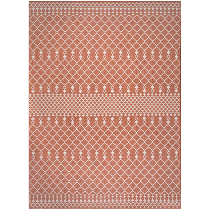 Nourison Selerno Indoor/Outdoor Moroccan Area Rug.