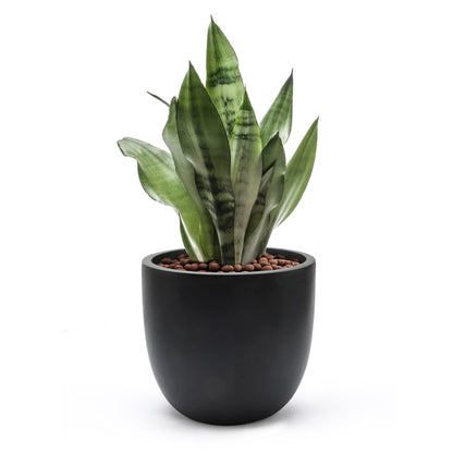 Tapered Round MgO Planter, Indoor and Outdoor