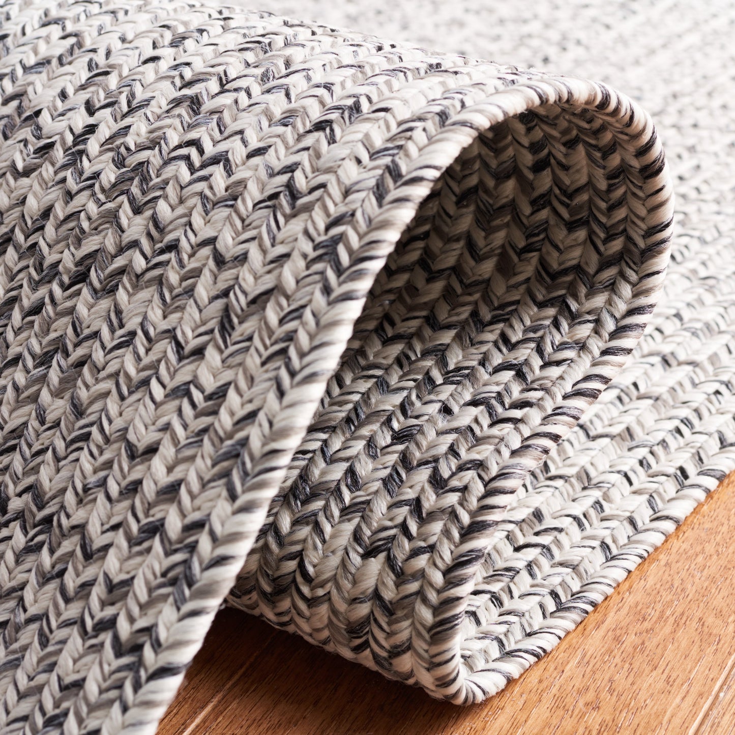 SAFAVIEH Handmade Braided Anthi Casual Rug