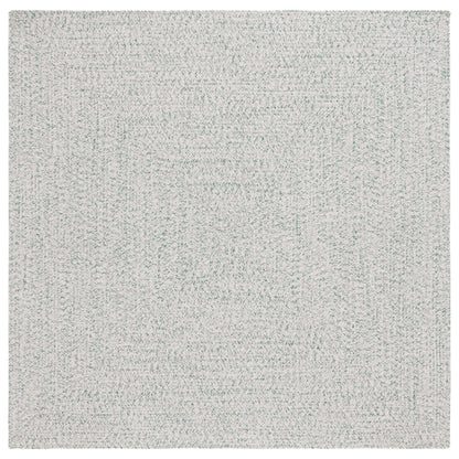 SAFAVIEH Handmade Braided Anthi Casual Rug