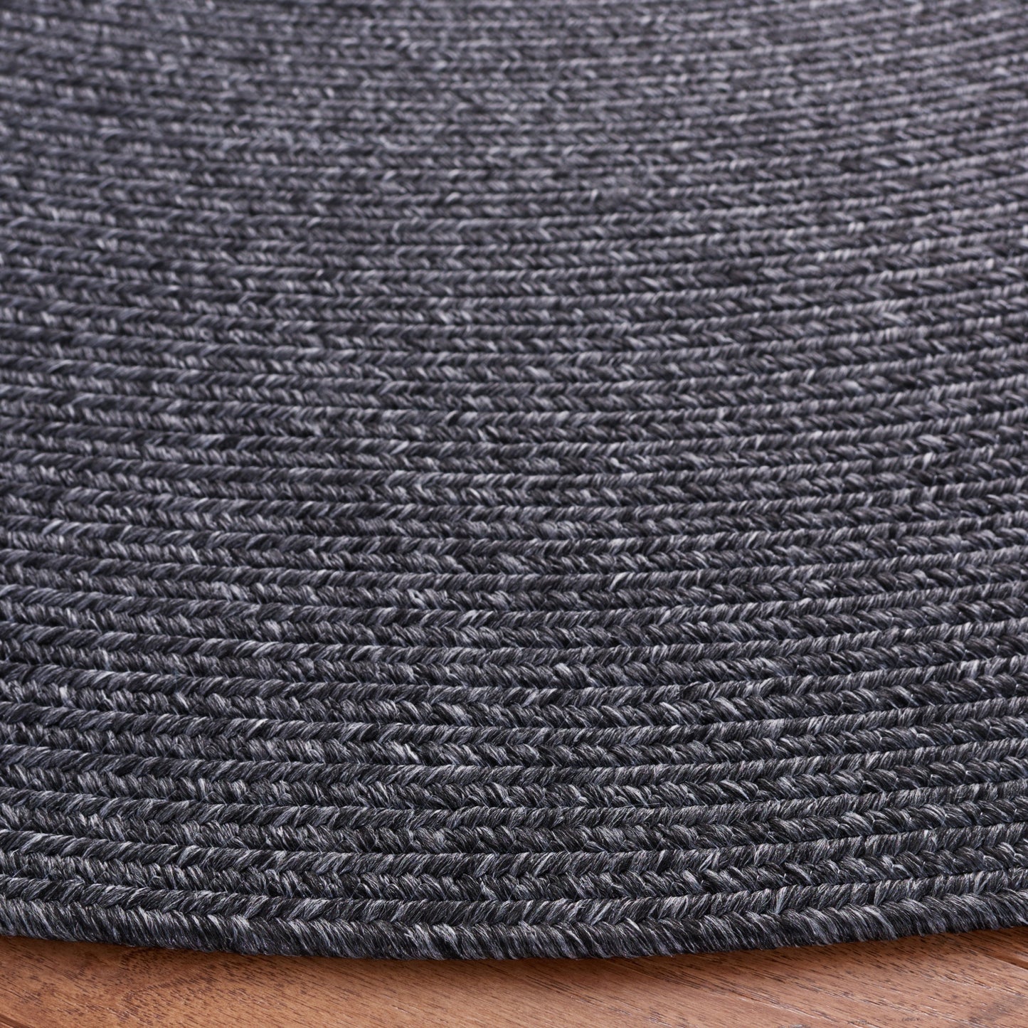 SAFAVIEH Handmade Braided Anthi Casual Rug