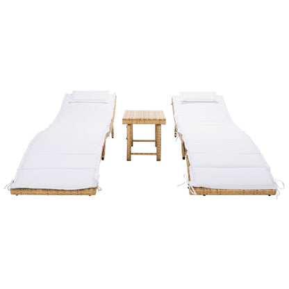 Ensemble de chaises longues de jardin Blaguna 3 pièces de SAFAVIEH - 83L x 20P x 24H