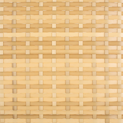 SAFAVIEH Taniyah, méridienne en osier d'extérieur avec coussins et oreillers - 135L x 71P x 157H (cm)