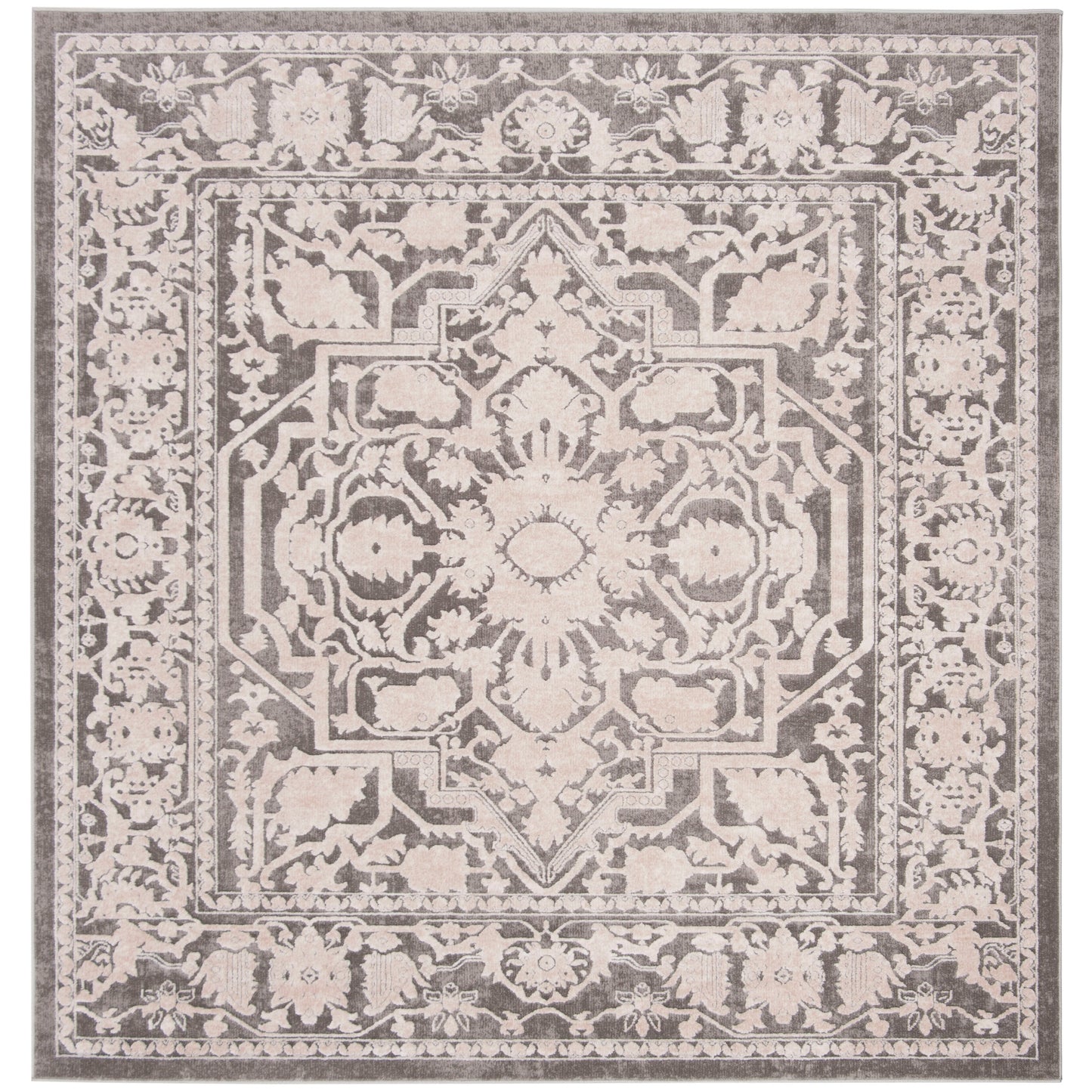 SAFAVIEH Reflection Eulalie Modern Oriental Rug
