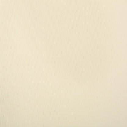 Ensemble de coussins d'extérieur Salem pour chaise longue - Coussins uniquement (lot de 2) par Christopher Knight Home - 79,25L x 27,50l x 1,50h