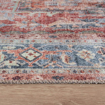 Traditional Distressed Machine Washable Area Rug