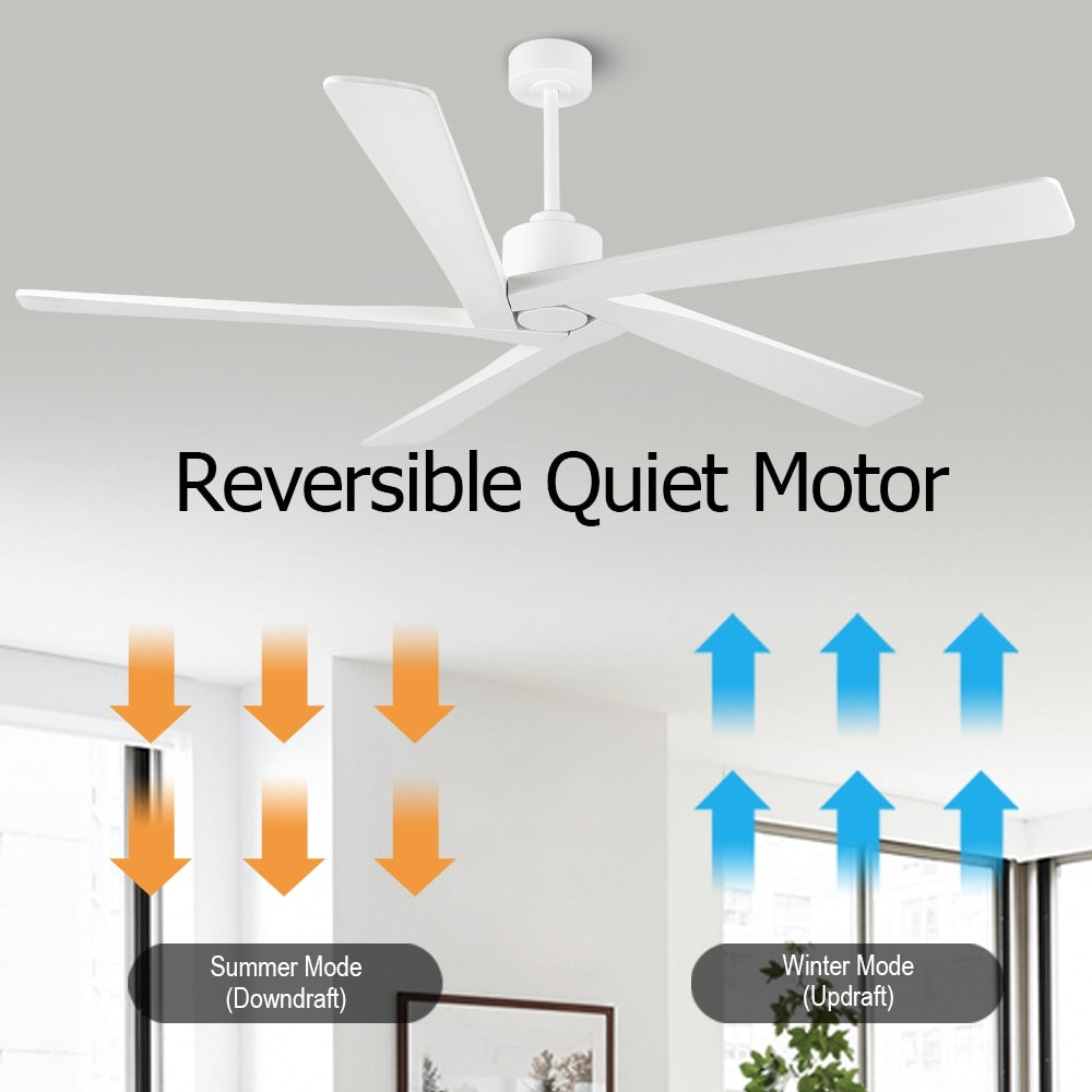 WINGBO Ventilateur de plafond intérieur à 54 pouces avec moteur DC, sans éclairage - N/A