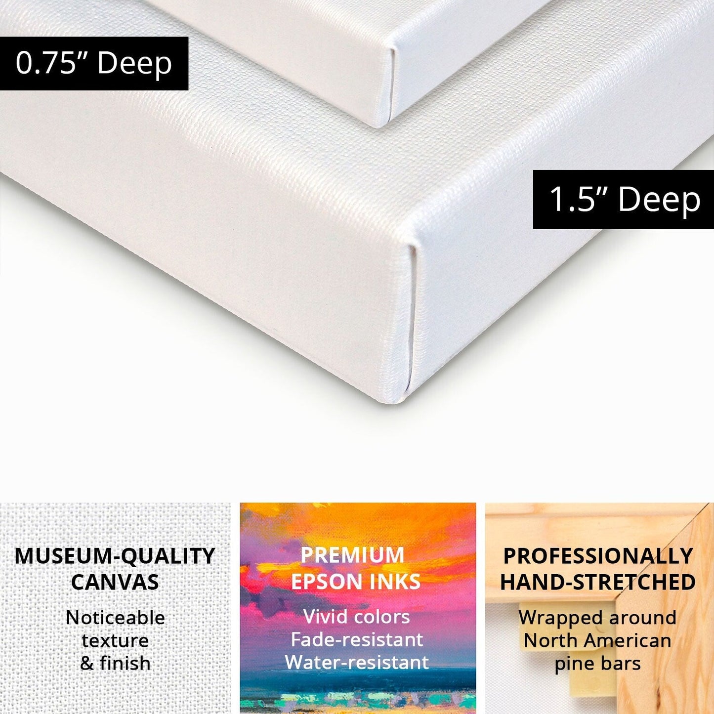 iCanvas Caught At Low Tide I by Carol Robinson Canvas Print